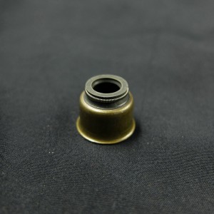Odolný olej odolný vysoce výkonný gumový ventil na dříku ventilu Viton u motorů automobilů Nissan